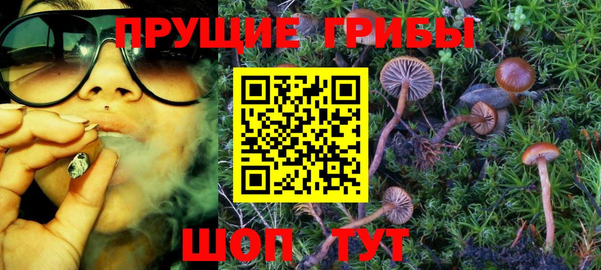 Грязи  Псилоцибиновые грибы Psilocybe  Вход с VPN 